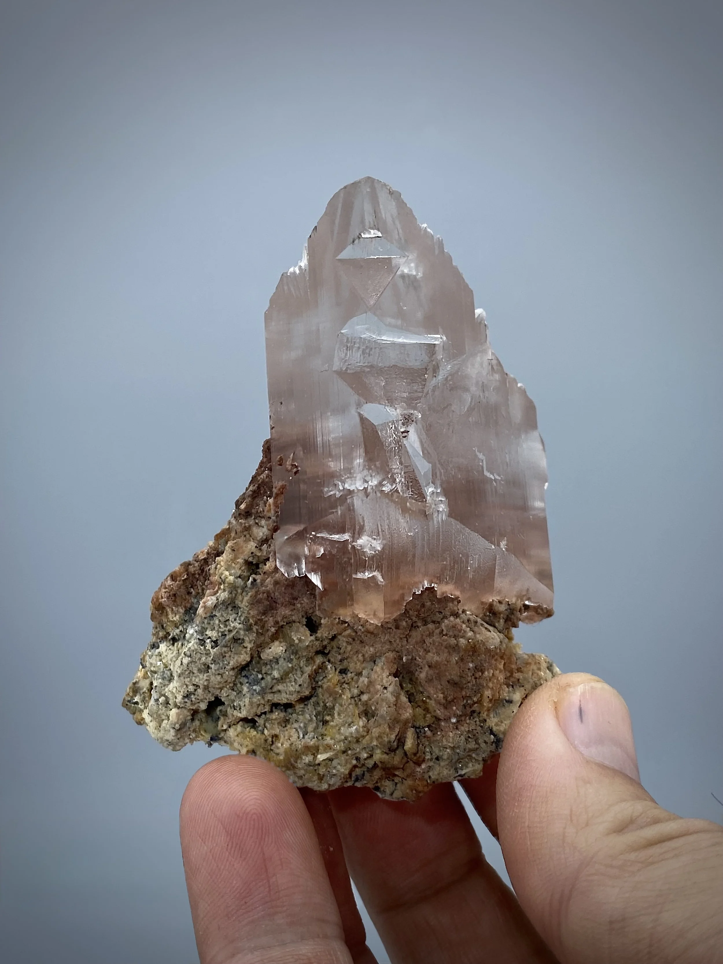 IMG_2068.jpeg (Copy)