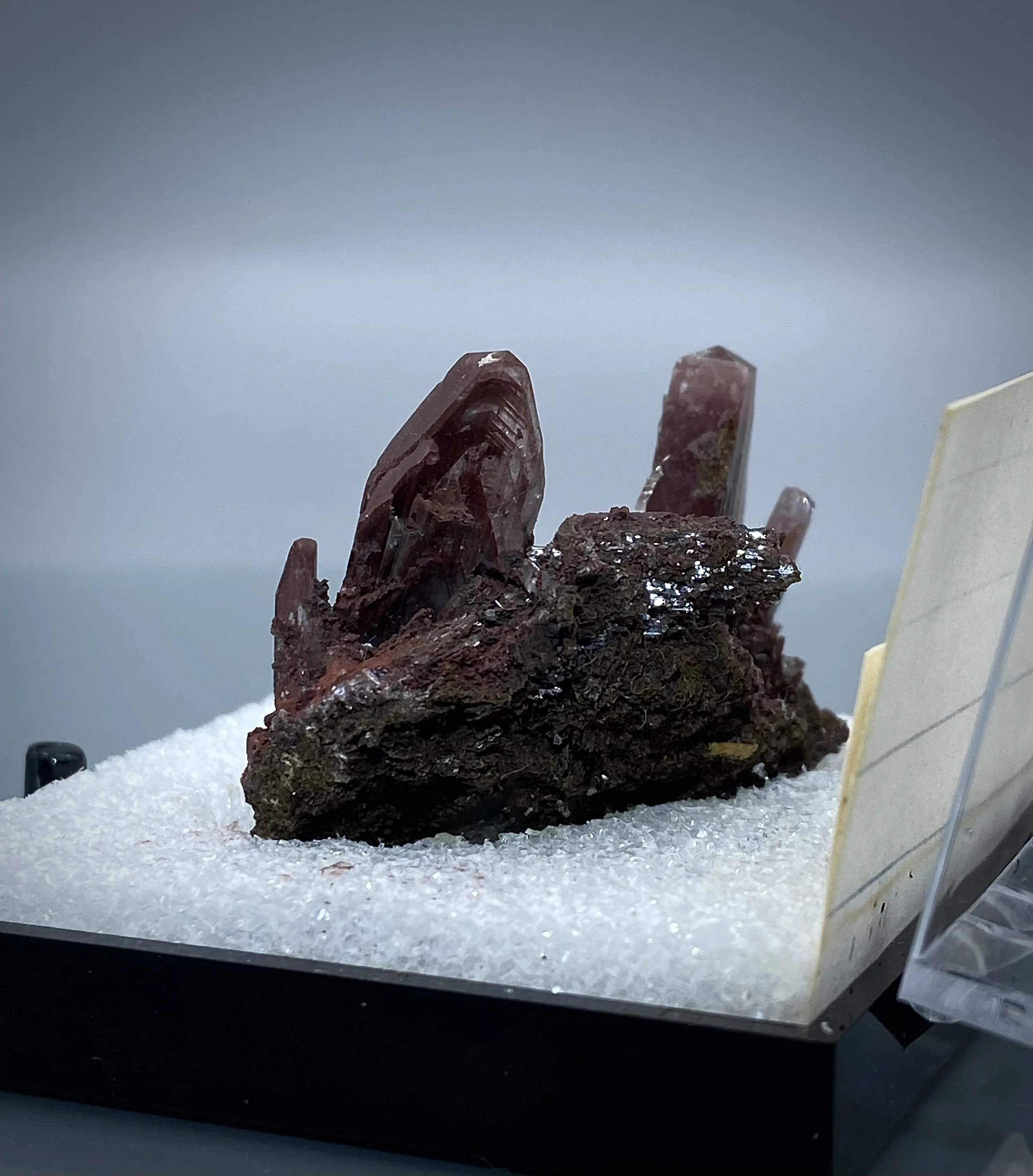 IMG_2089.jpeg (Copy)