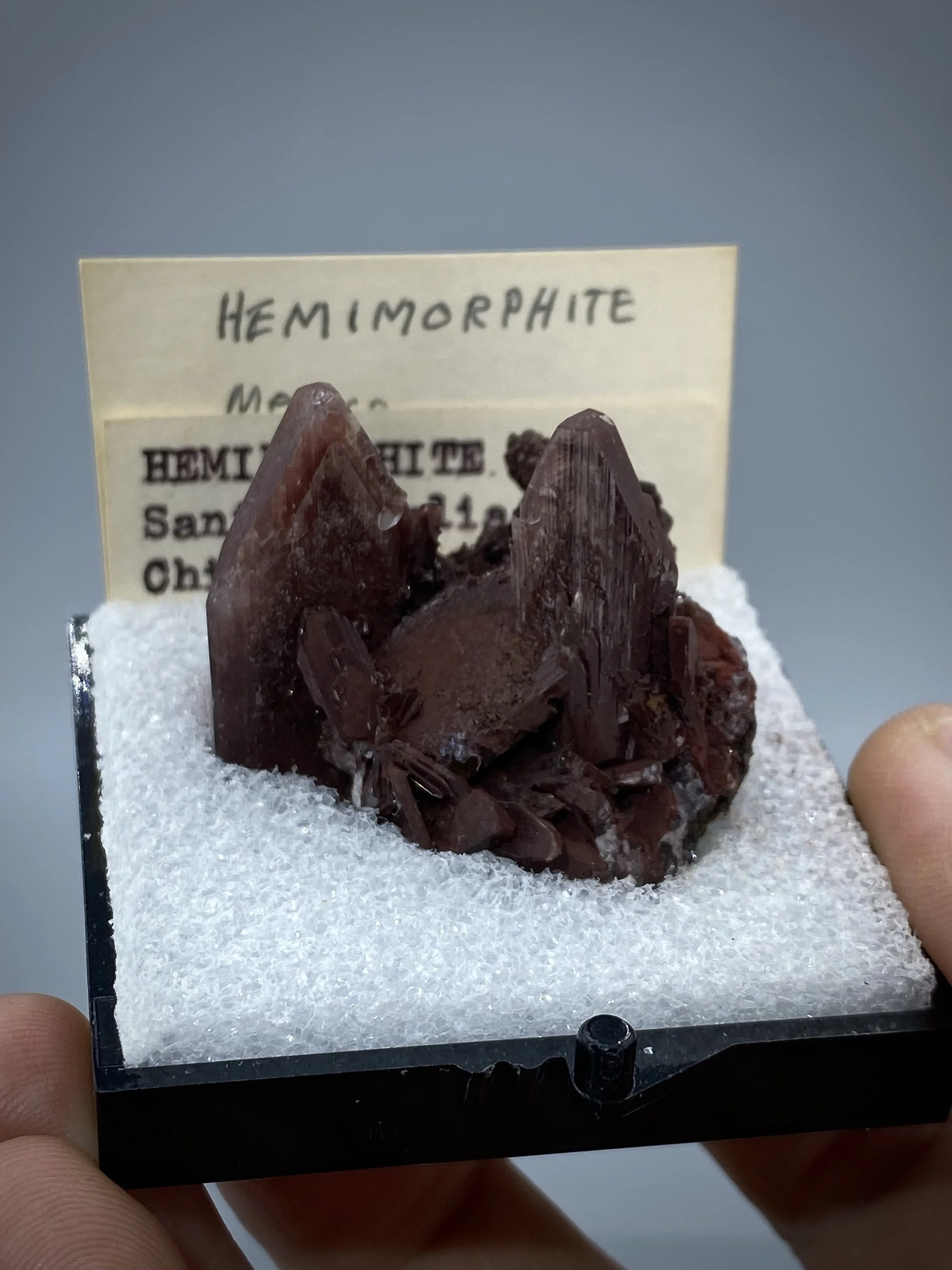 IMG_2093.jpeg (Copy)