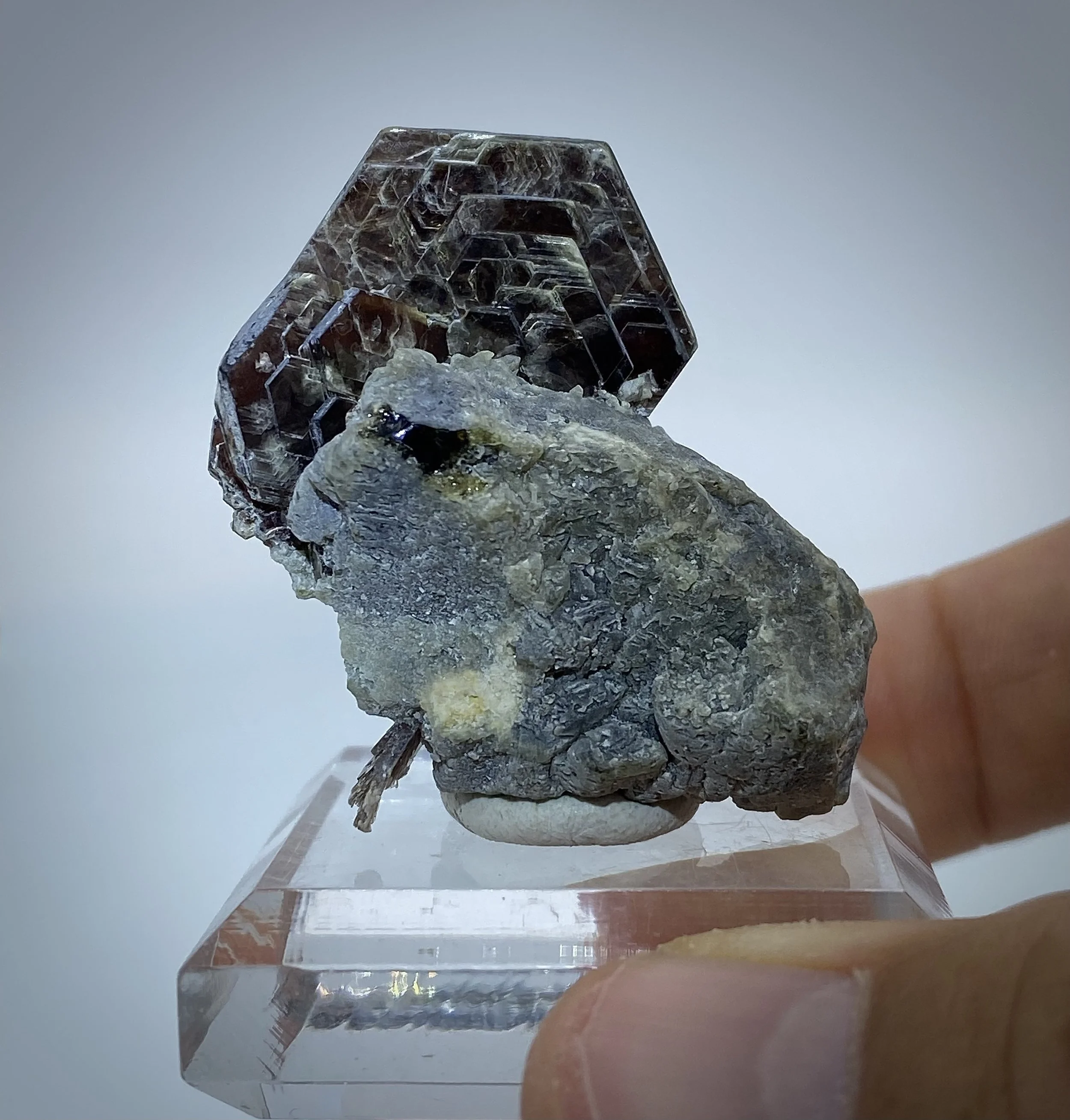 ZINNWALDITE W APATITE - MINAS GERAIS, BRAZIL 7.jpeg