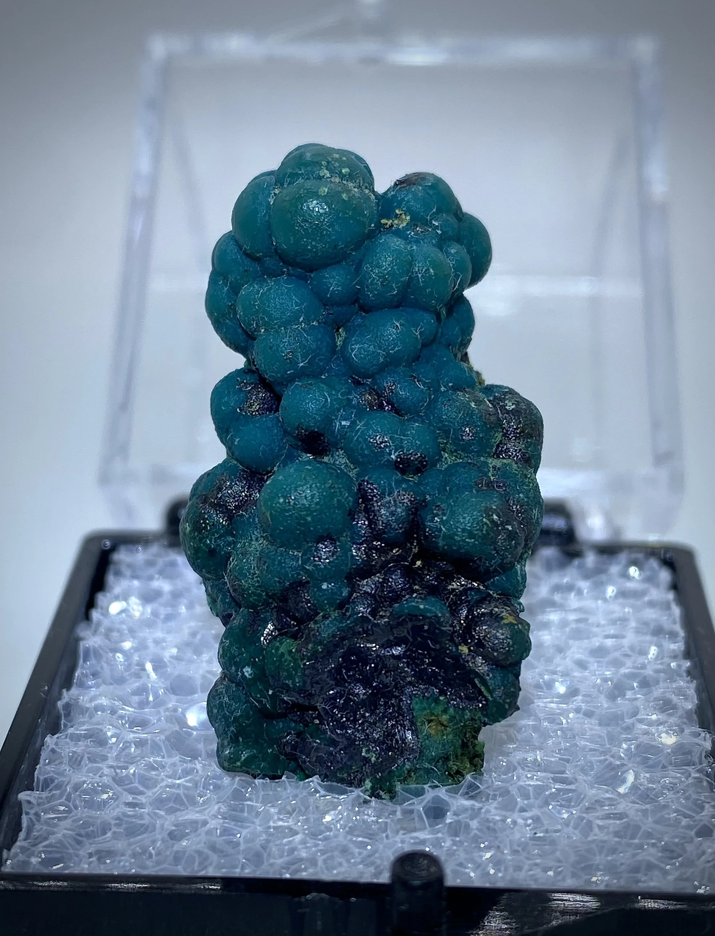 CHRYSOCOLLA - LUDWIG MINE NEVADA 1.jpeg