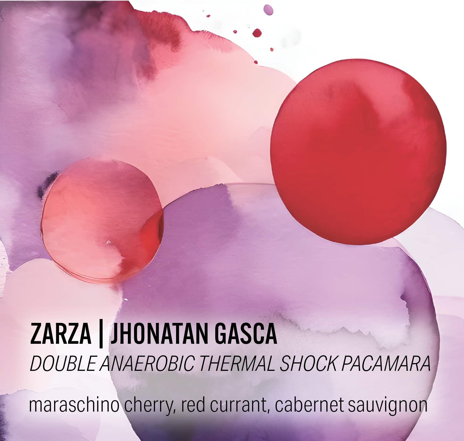 ZarzaPacamaraLabelandWebsite-04.png