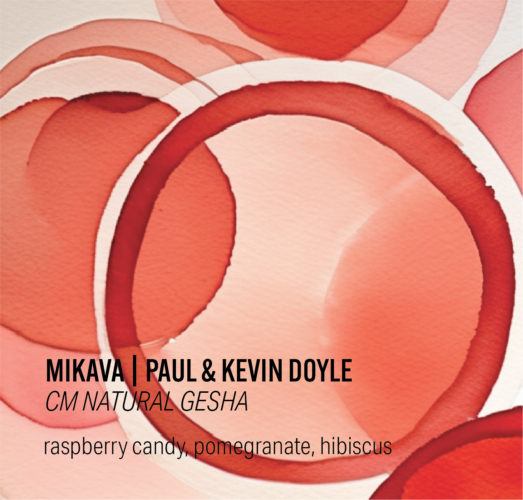 Website Image_CM Mikava.png