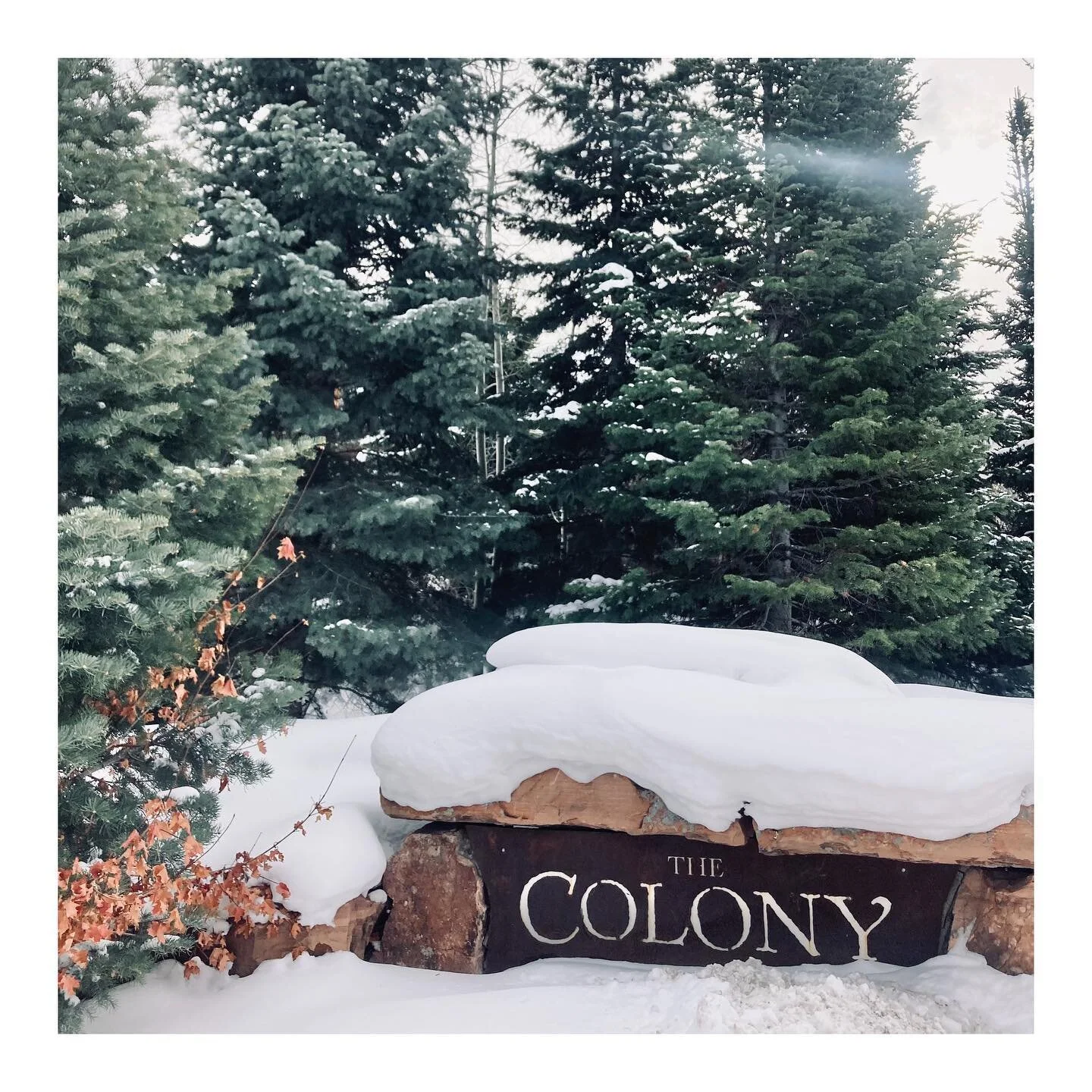 THE MODERN CLIENT — BRITT CHUDLEIGH REAL ESTATE RESIDENTIAL AND