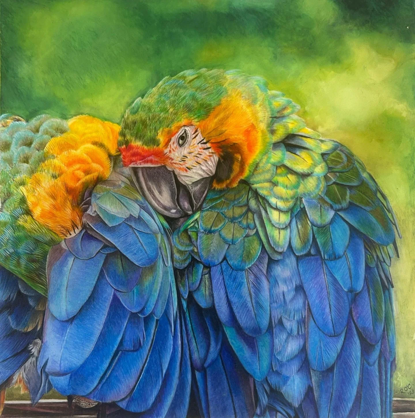 Artwork Parrots.JPG