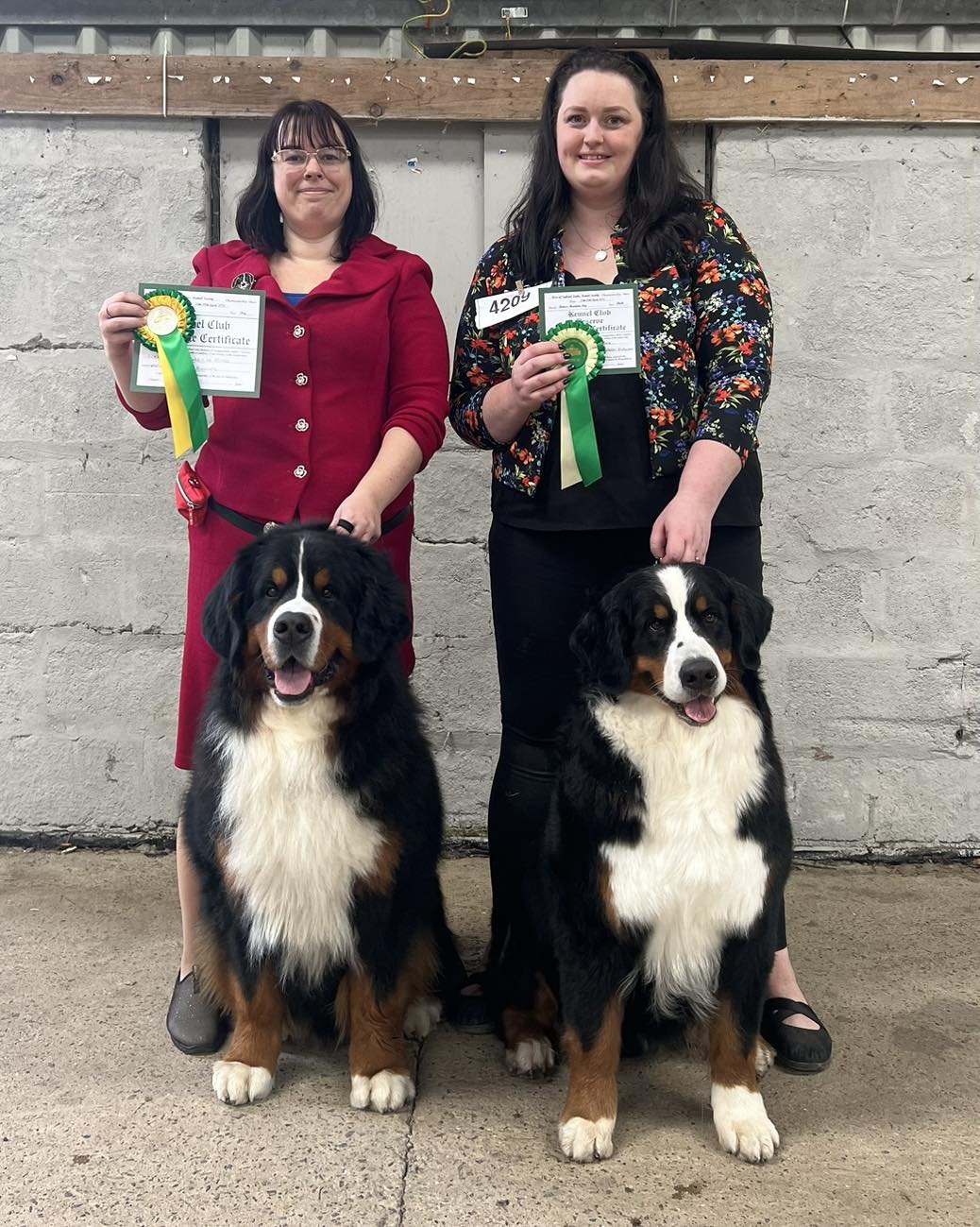 🙌🏻What a fantastic day at WELKS for our little Team Waldershelf! 🙌🏻

CUBBY - &lsquo;Waldershelf Cubby Ad Astra&rsquo; wins Limit Dog and the DOG CC!!! Huge congratulations to the Hughes&rsquo;

His daughter GINNY - &lsquo;Waldershelf Gin and Toni