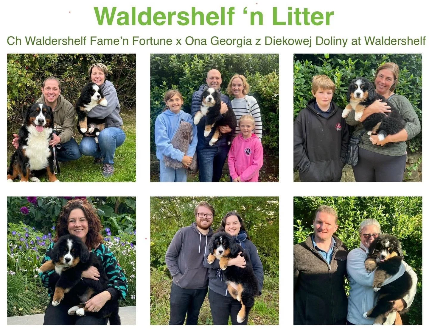 We said goodbye to our Forbes x Georgia litter a few weeks ago, all the puppies are thriving in their new homes and so very much loved by their owners. I&rsquo;m sure we&rsquo;ll have lots of photos to share as they grow ❤️

All our puppies are raise