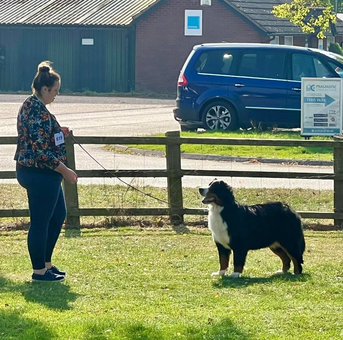 Lovely morning at West Bromwich &amp; Wednesbury Canine Society with Ingrid &lsquo;Waldershelf Queens Inglish&rsquo; taking BOB and Bjorn &lsquo;Waldershelf Bjorn To Be King&rsquo; RBOB under judge Kat Copley-Holland.

Sire: Multi CH Roambasens Quali