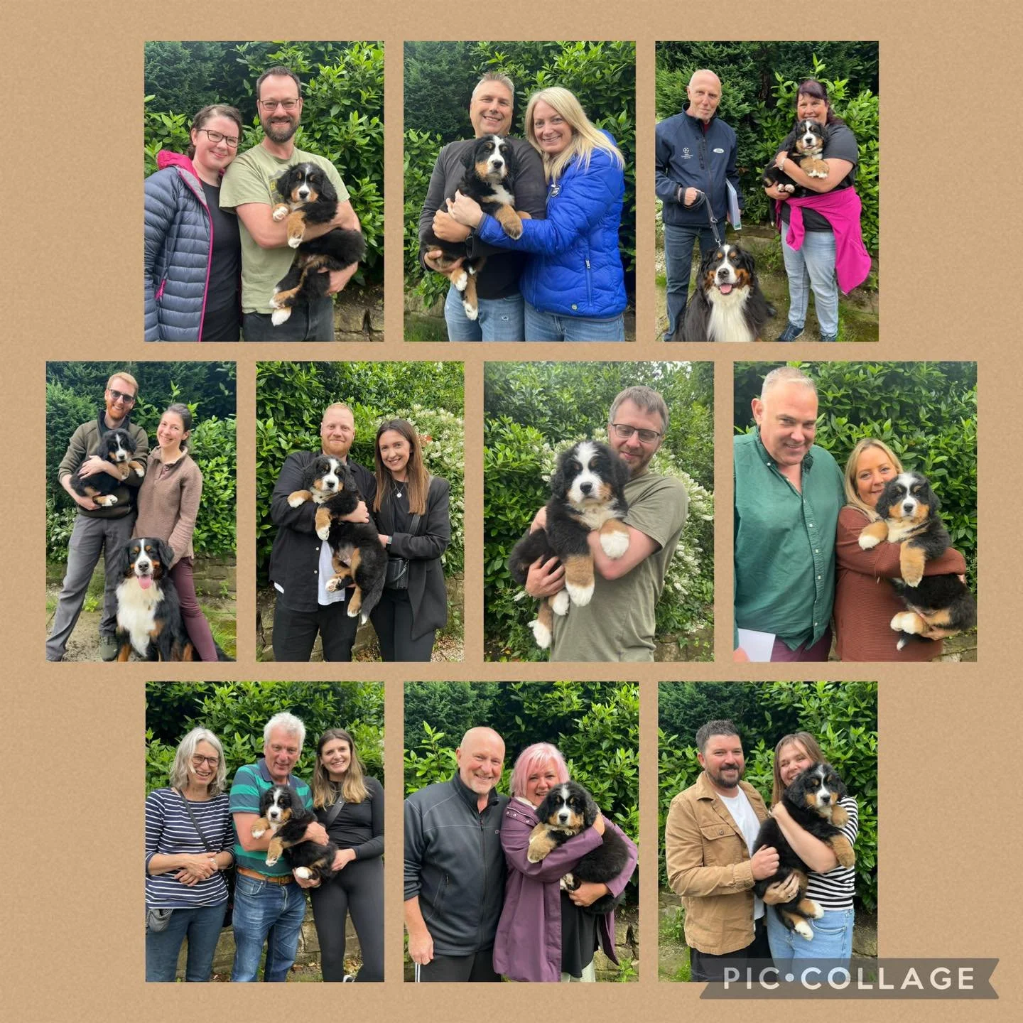 Well that was a very emotional weekend! 🥹

With the Love Litter turning 8 weeks old it was time for them to move to their new families 🏡 So many happy tears shed by everyone and we feel blessed to have such wonderful families, old and new, in Team 