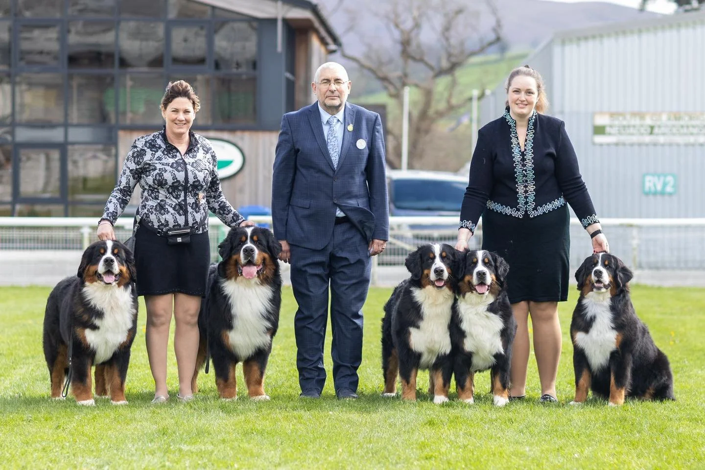 Absolutely amazing day at Working and Pastoral Breeds of Wales and the Bernese Mountain Dog Club of Wales 🏴󠁧󠁢󠁷󠁬󠁳󠁿 our team of 5 certainly did us proud today 😊 the dogs are such a joy and we feel so lucky to have such a super group of friends 