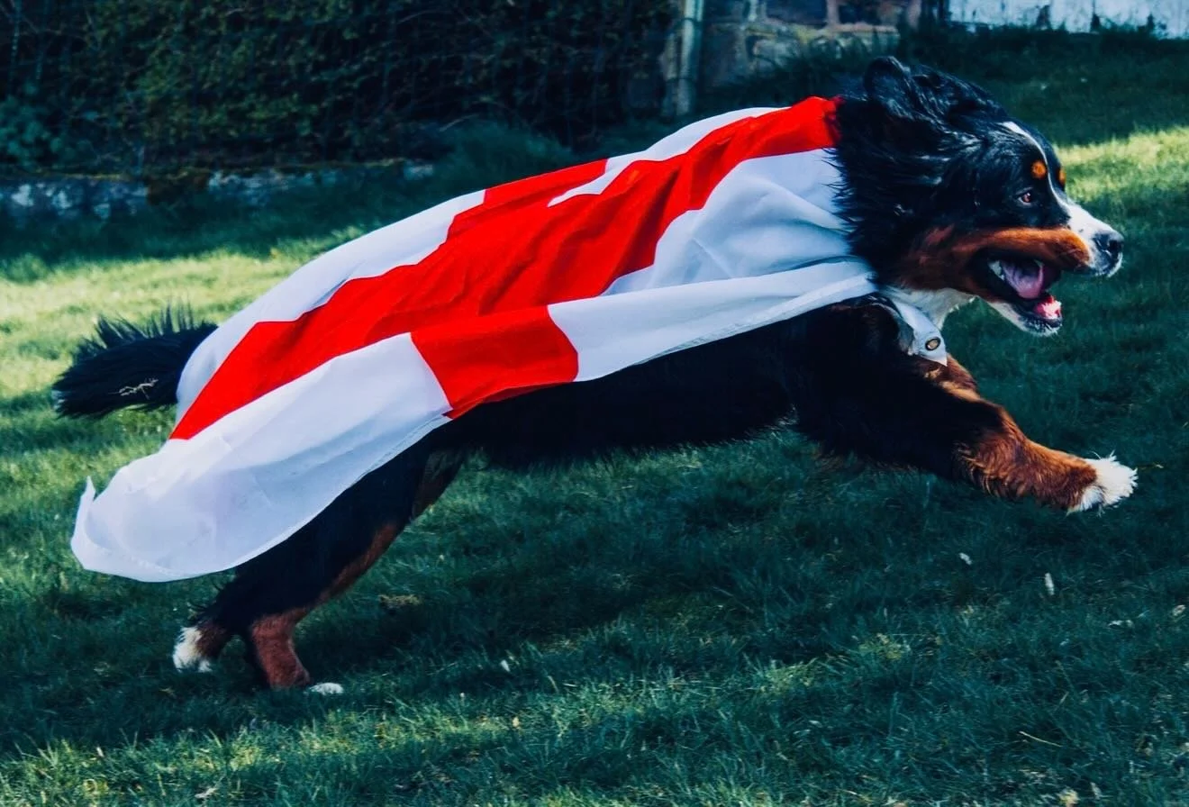 Happy St George&rsquo;s Day 🏴󠁧󠁢󠁥󠁮󠁧󠁿

This picture was taken back in 2021, the &lsquo;old fashioned&rsquo; way, before the powers of AI and photo editing. Nora who was a 12 month old teenager, very much enjoyed ultimately ruining the flag but i