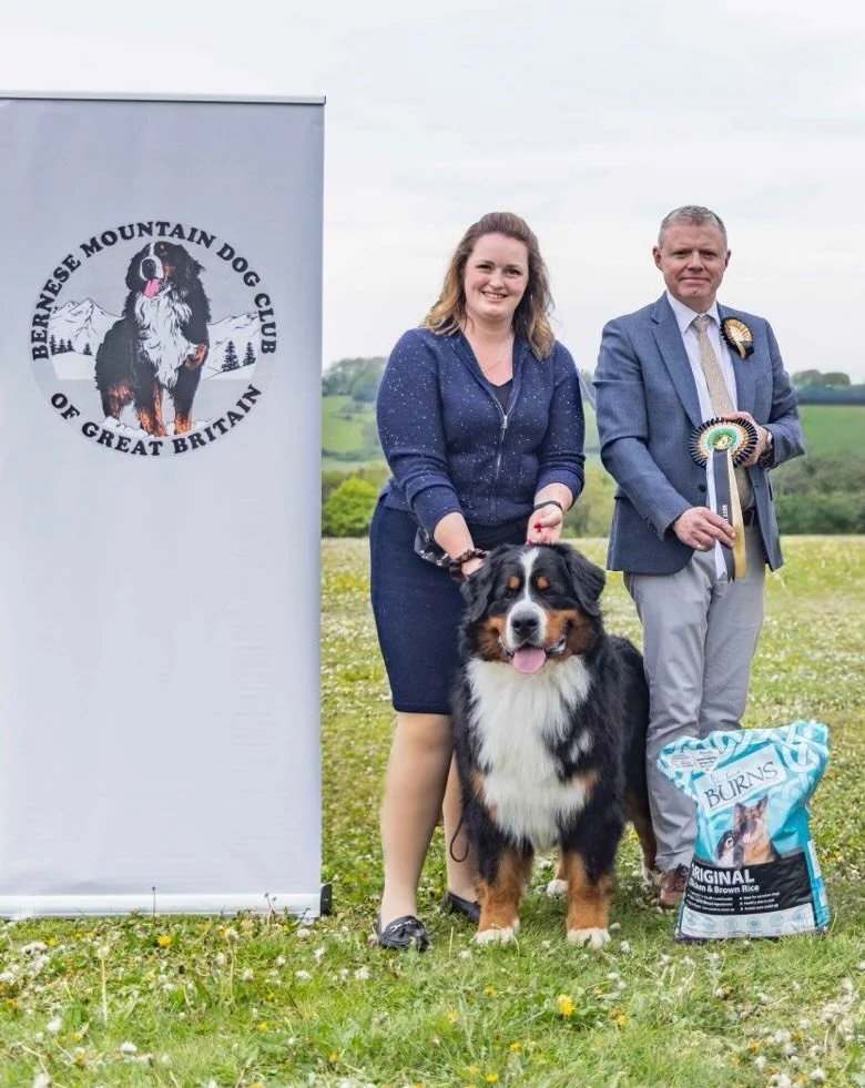 Still unpacking and recovering from one of the busiest weekends of the year at the Bernese Mountain Dog Club of Great Britain Spring Weekend&hellip;🌷

We had a double day at the double Emerald Jubilee club show on Saturday with Bjorn and Dandy takin