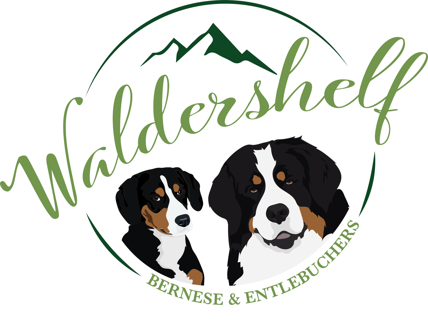 Waldershelf Bernese and Entlebucher Mountain Dogs