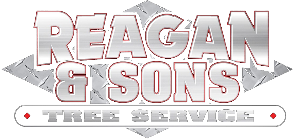 Reagan and Sons Tree Service