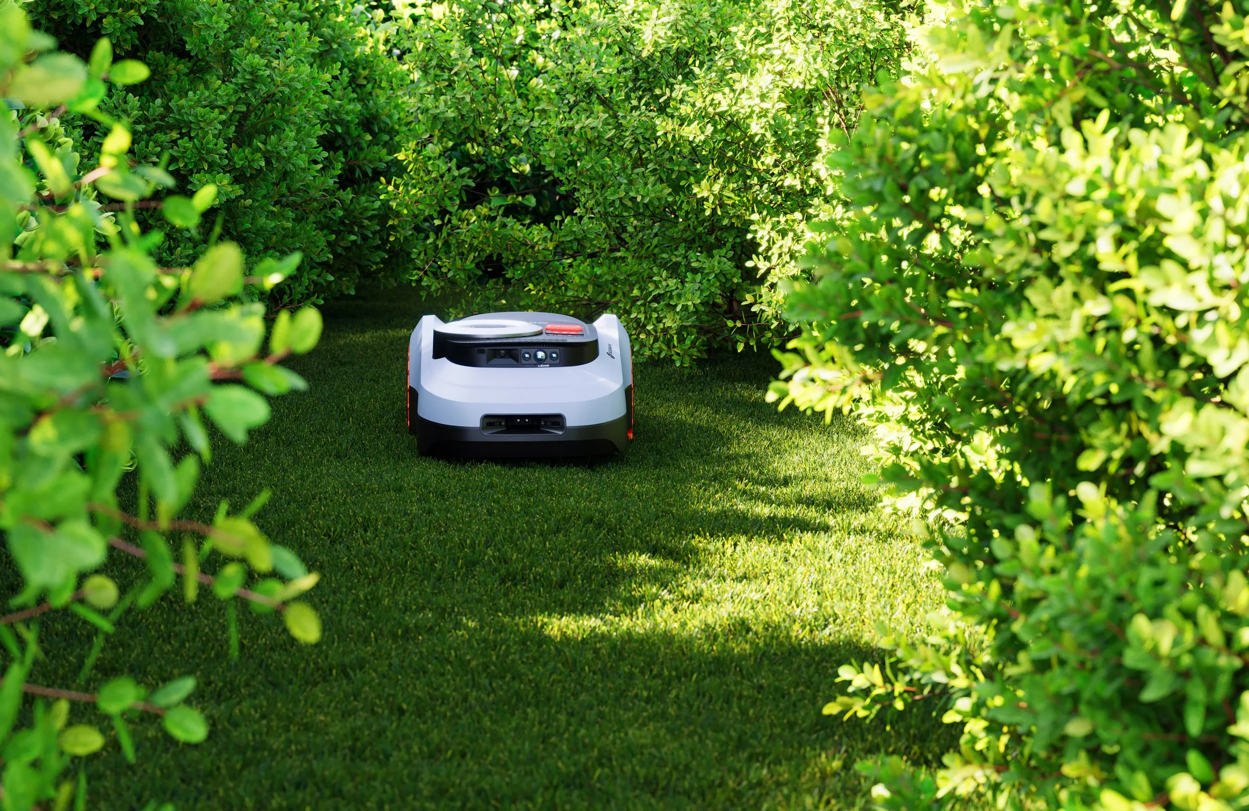i2 AWD_Narrow Path_Daylight copy.jpg