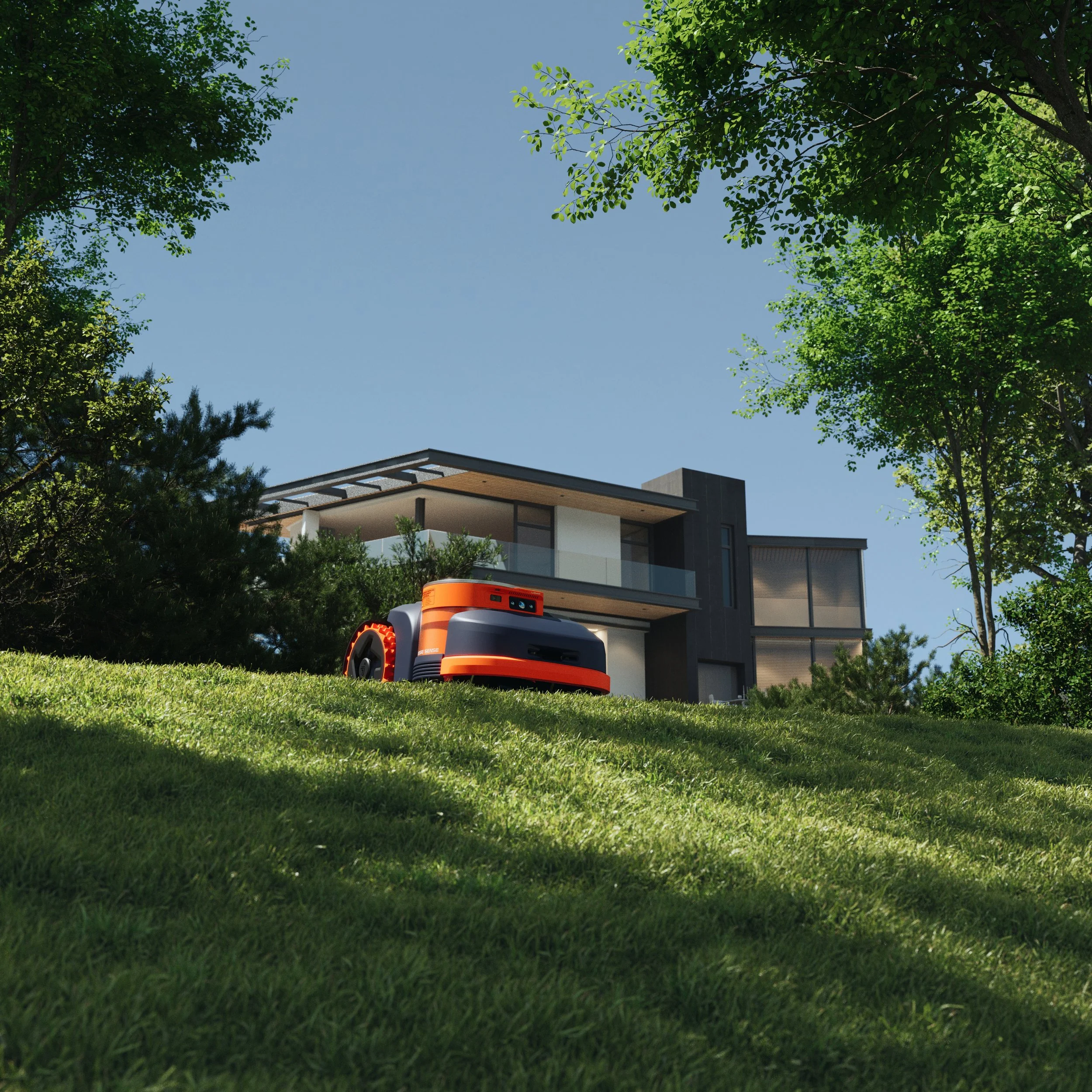 H2_Under Tall Trees copy.jpg