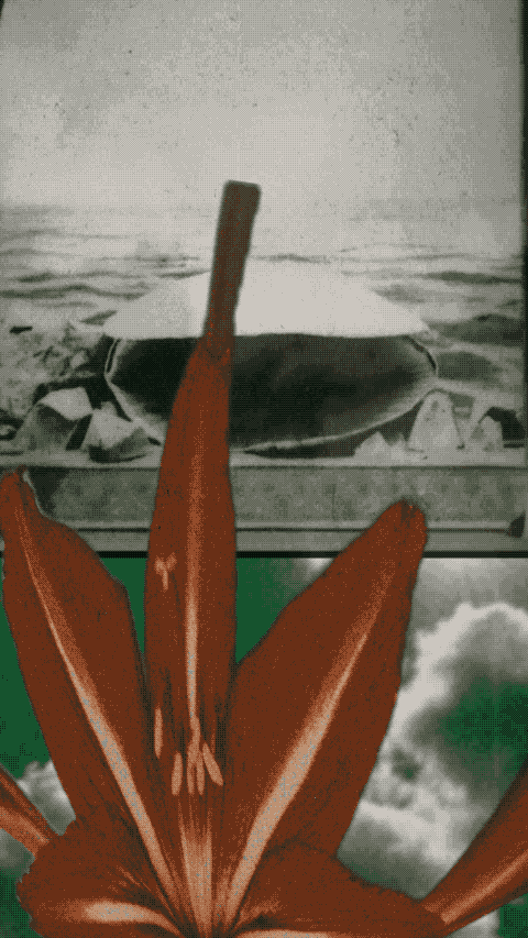 collage artist