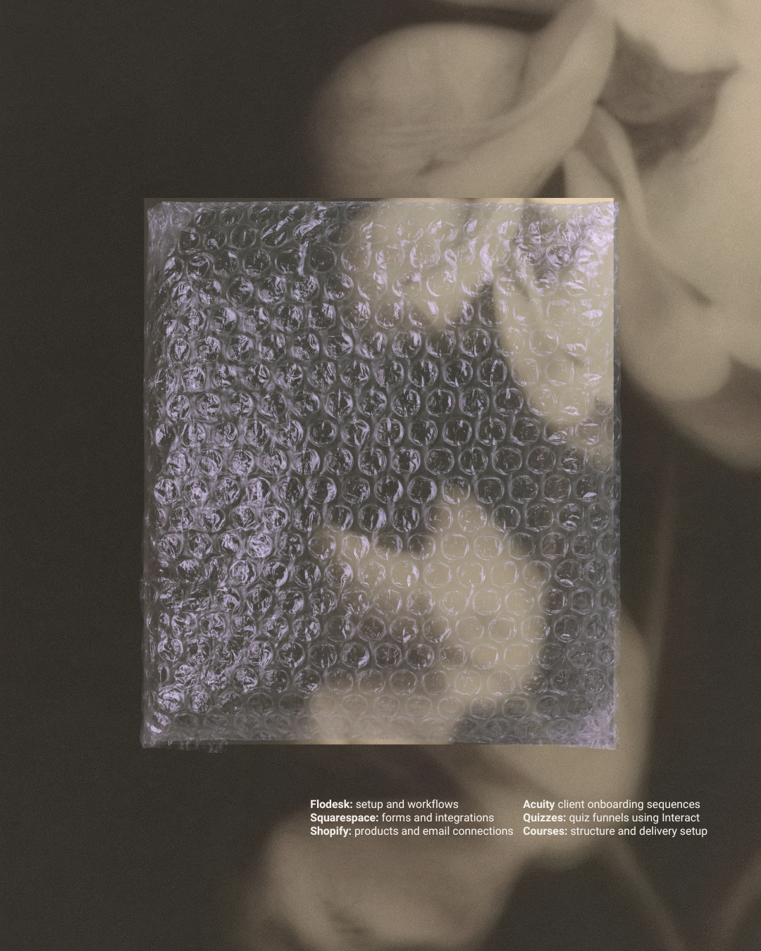 the best brand designer in the world