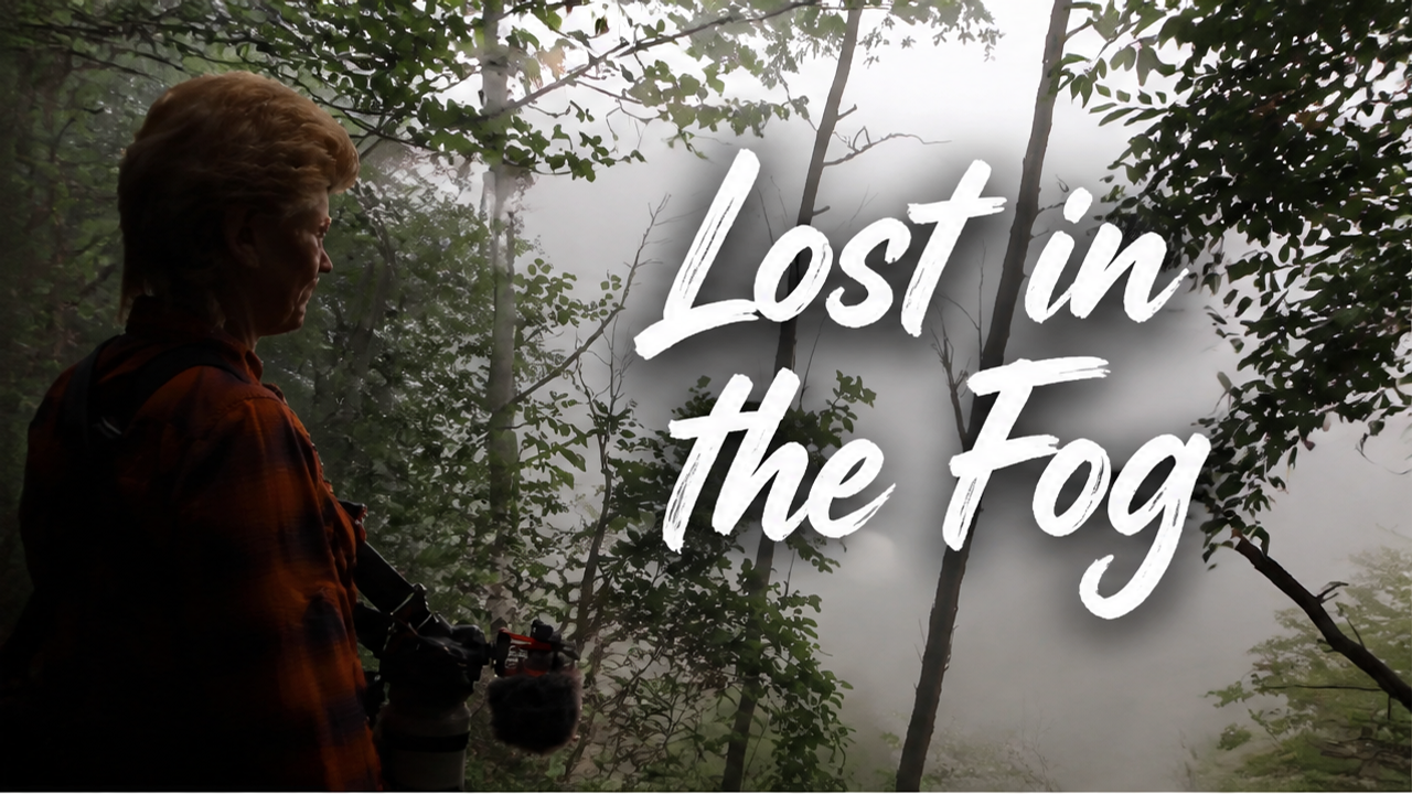 Lost in the Fog: A Morning Hike Through Komoka Provincial Park