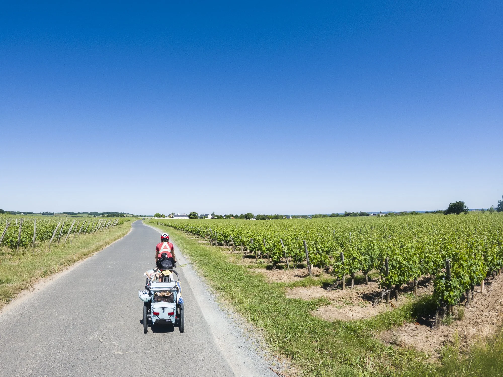 Vignoble de Saumur