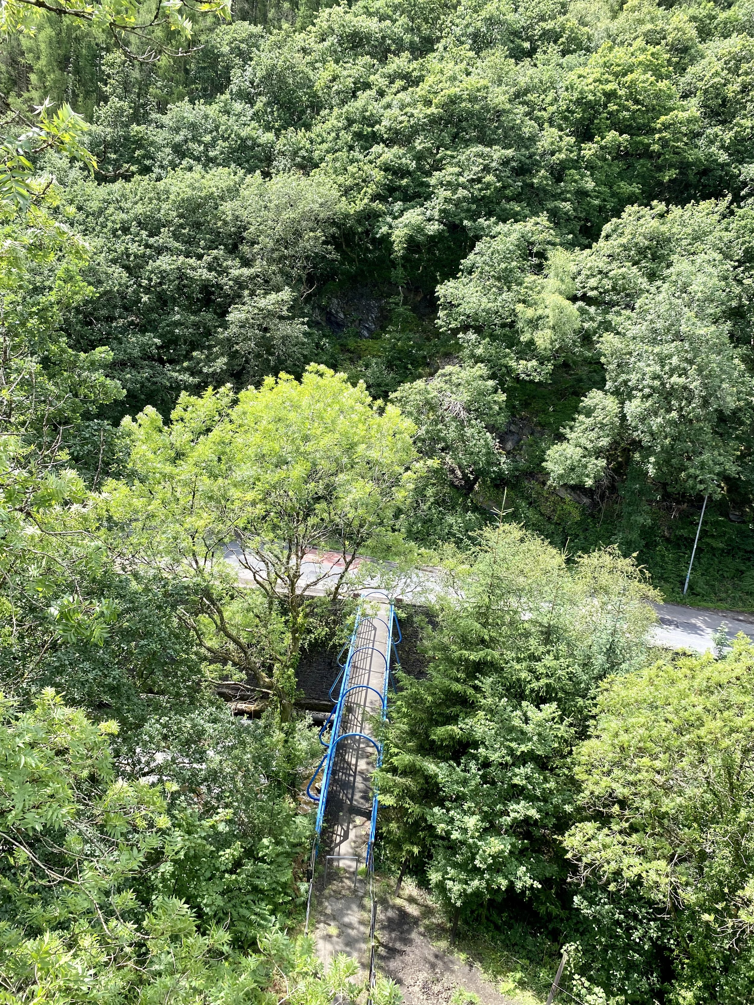 IMG_3551.jpg