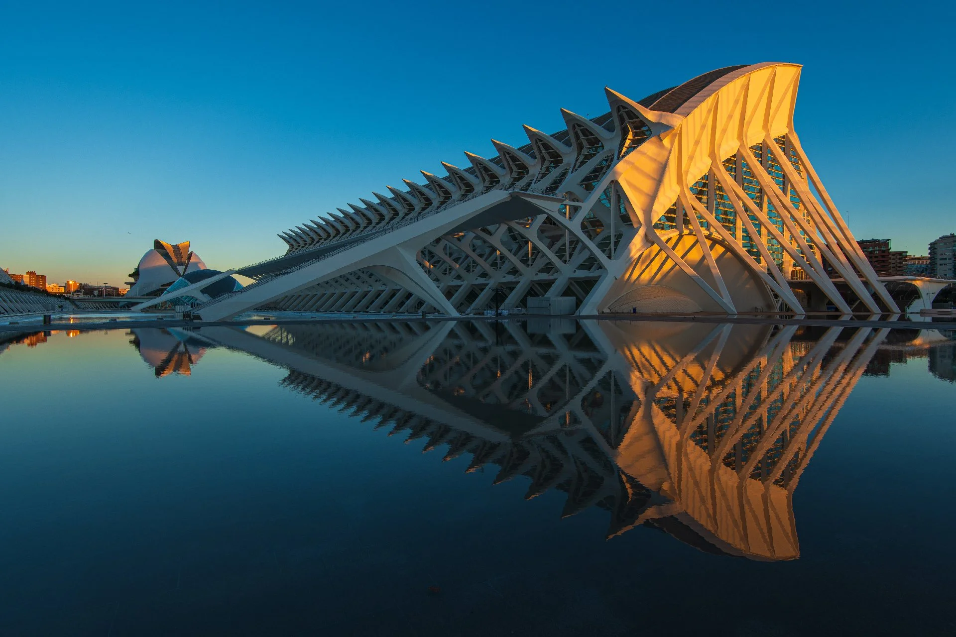 Ciudad de las Artes y las Ciencias 2
