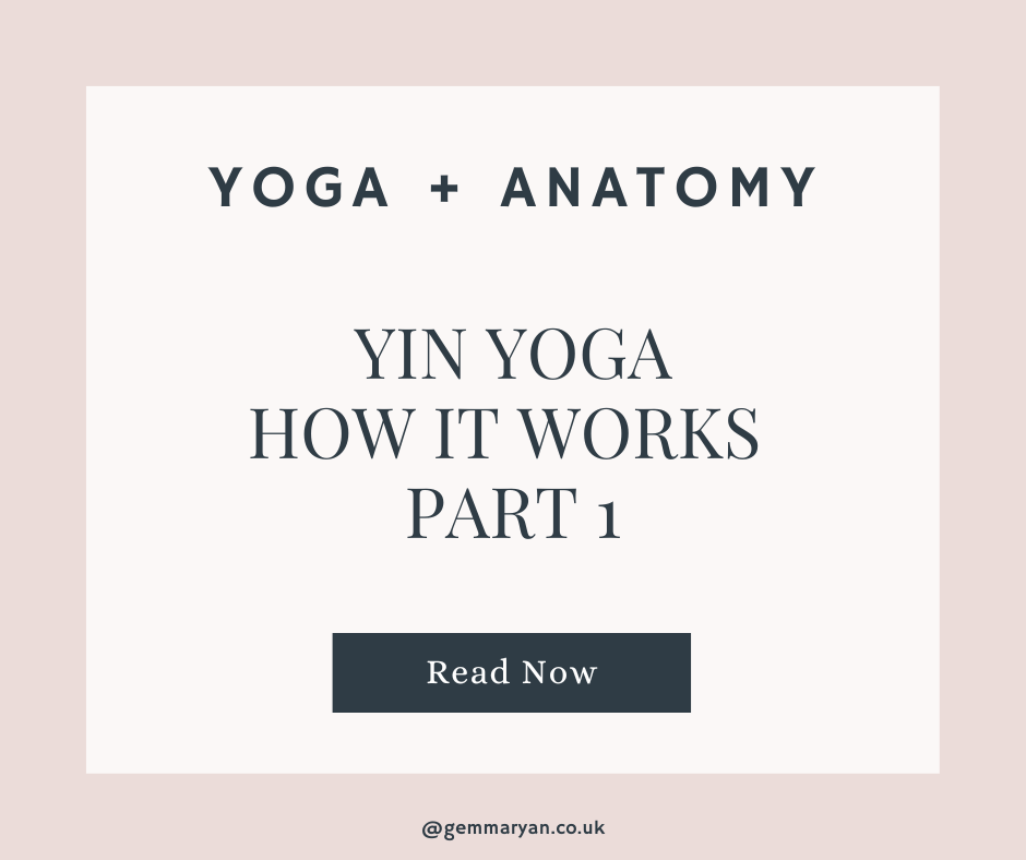 HOW YIN YOGA WORKS -PART 1