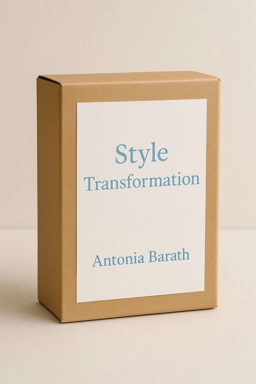 Style Transformation.png (Copy)