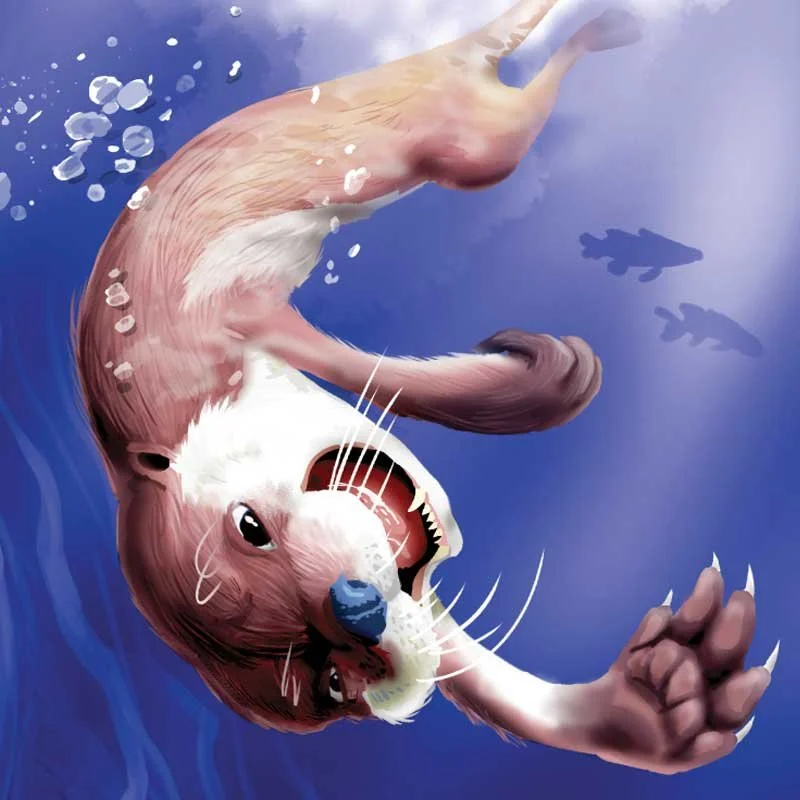 9-River_Otter_SQUARE.jpg