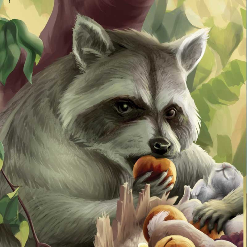8-Raccoon_SQUARE.jpg