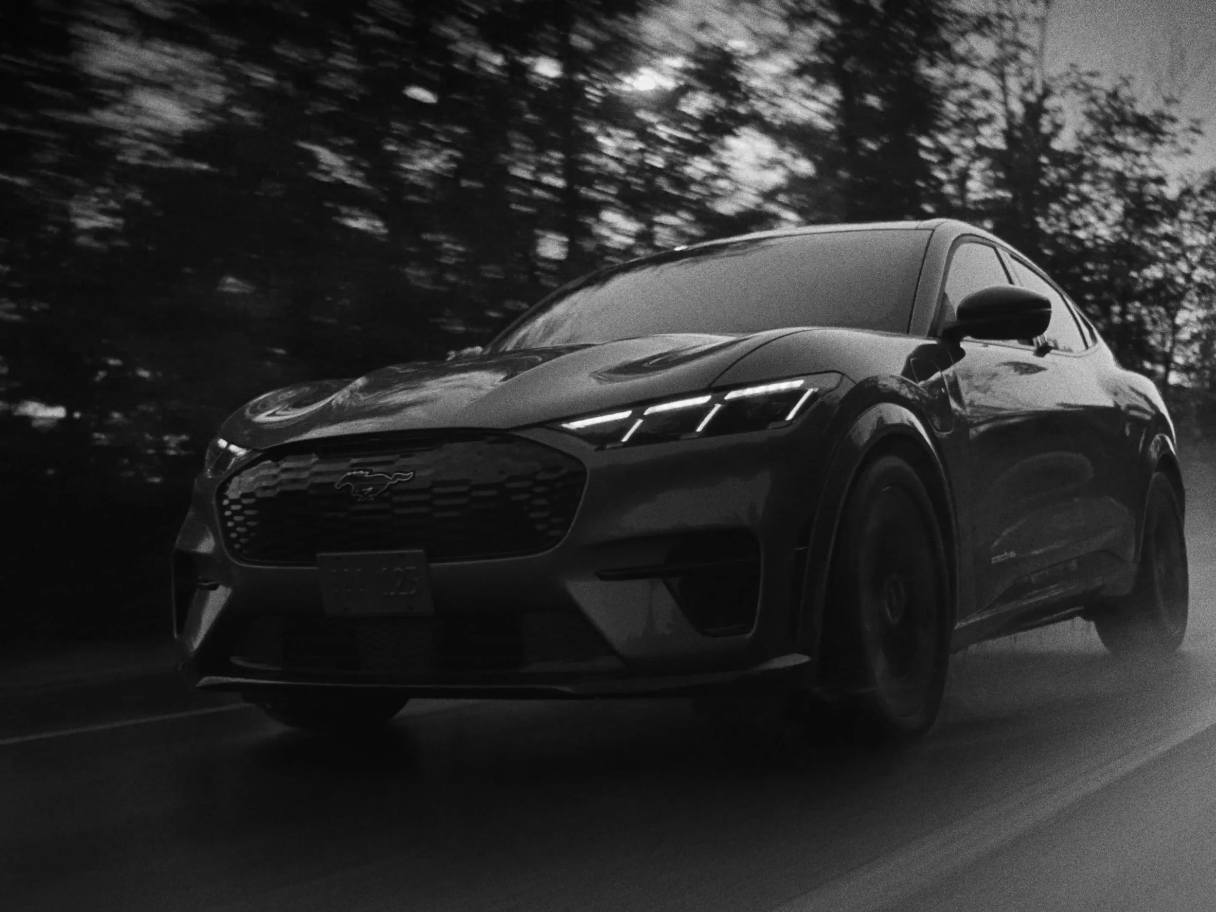 [05] FORD MUSTANG | UNQUANTIFIABLE