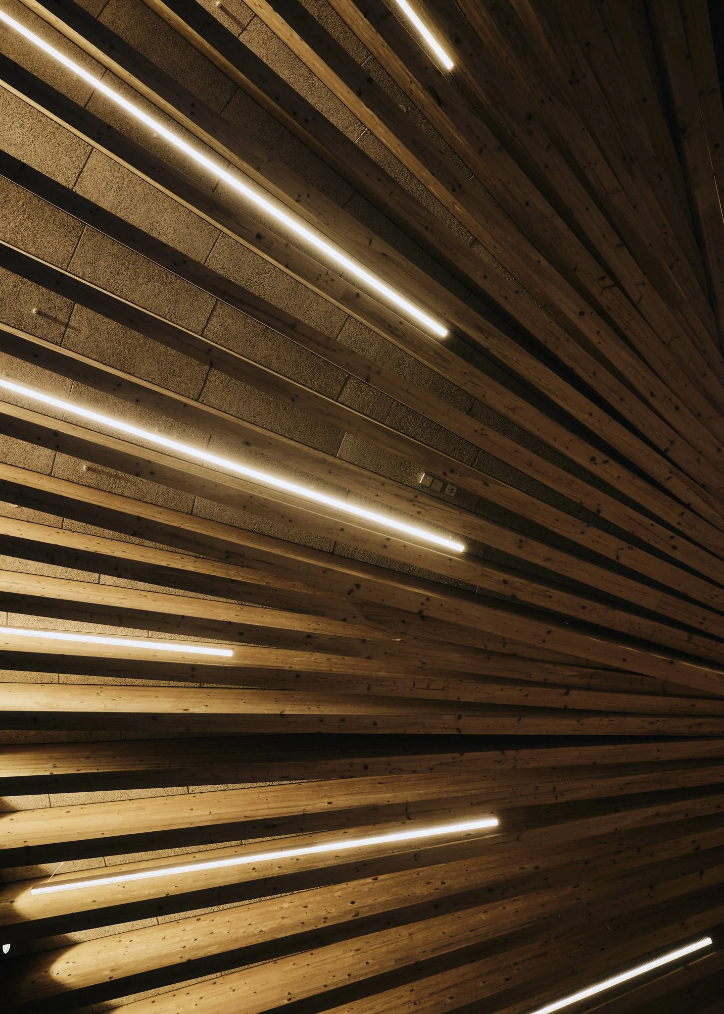 Architekturdetail mit Holzlamellen und linearen Deckenleuchten, warme Tonalität.