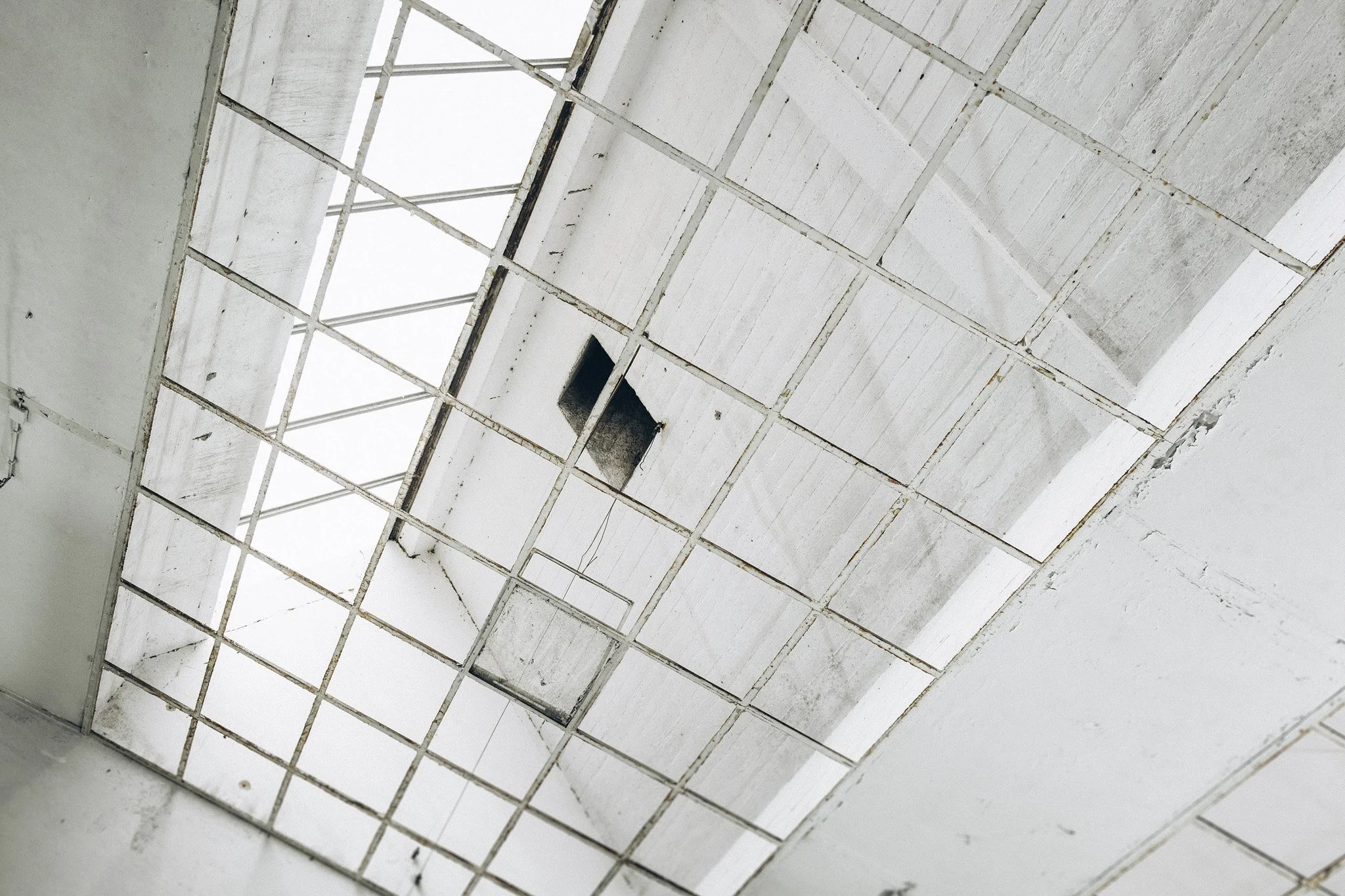 Industriedecke mit Raster und Oberlicht, grafische Perspektive in Industriehalle, Kunst Ausstellung und Auktion, Stuttgart Eventfotografie