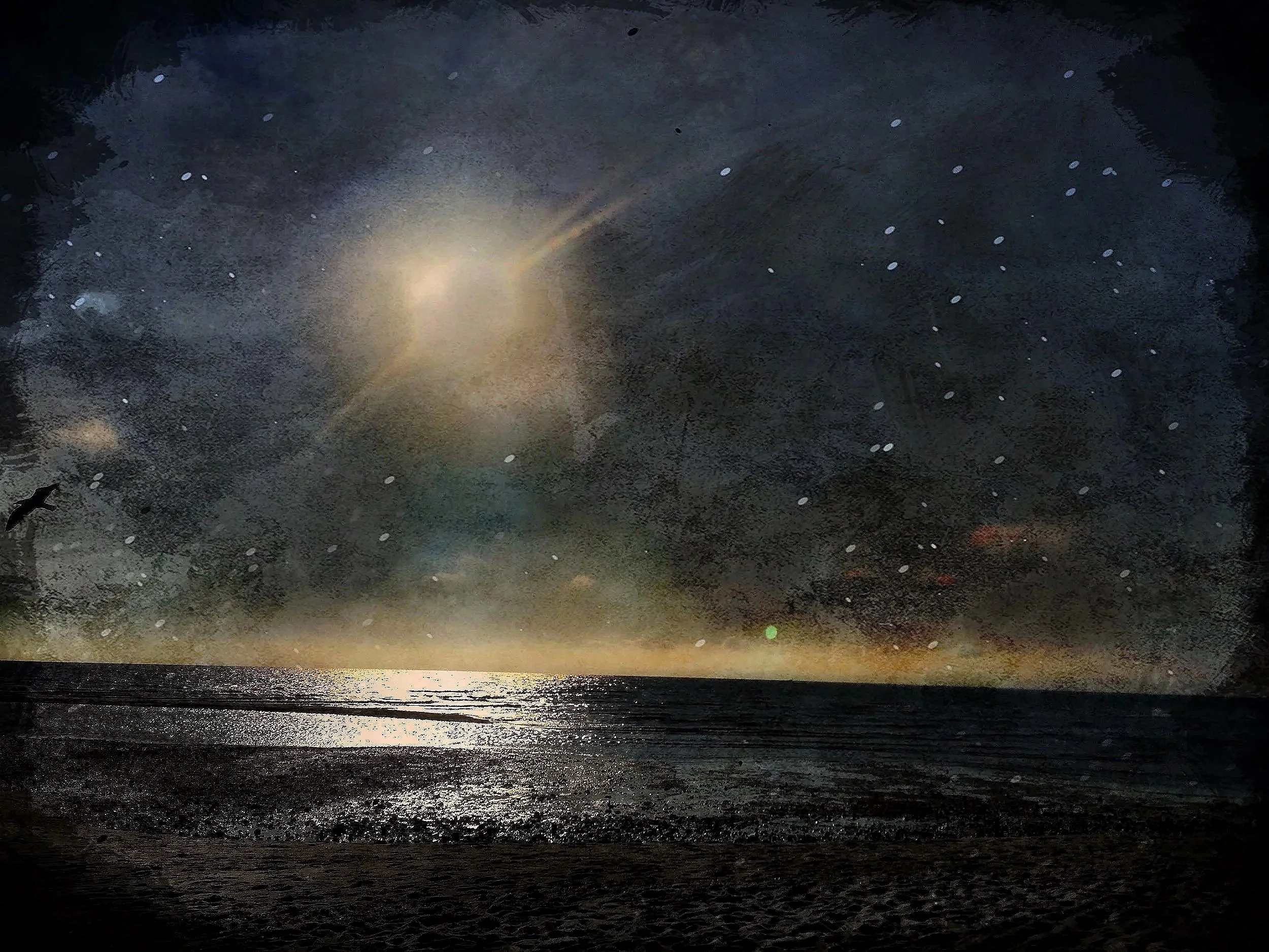 "Night Tide" Sippewissett Salt Marsh, 2025