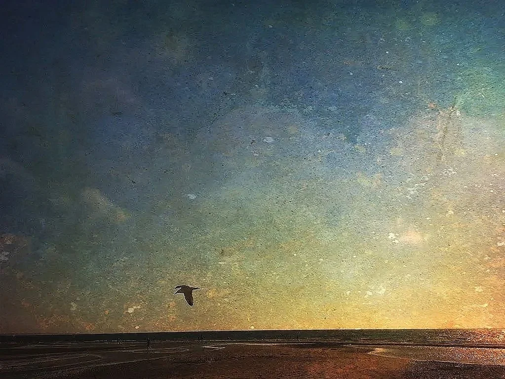 "Solitary Skies" Sippewissett Salt Marsh, 2025