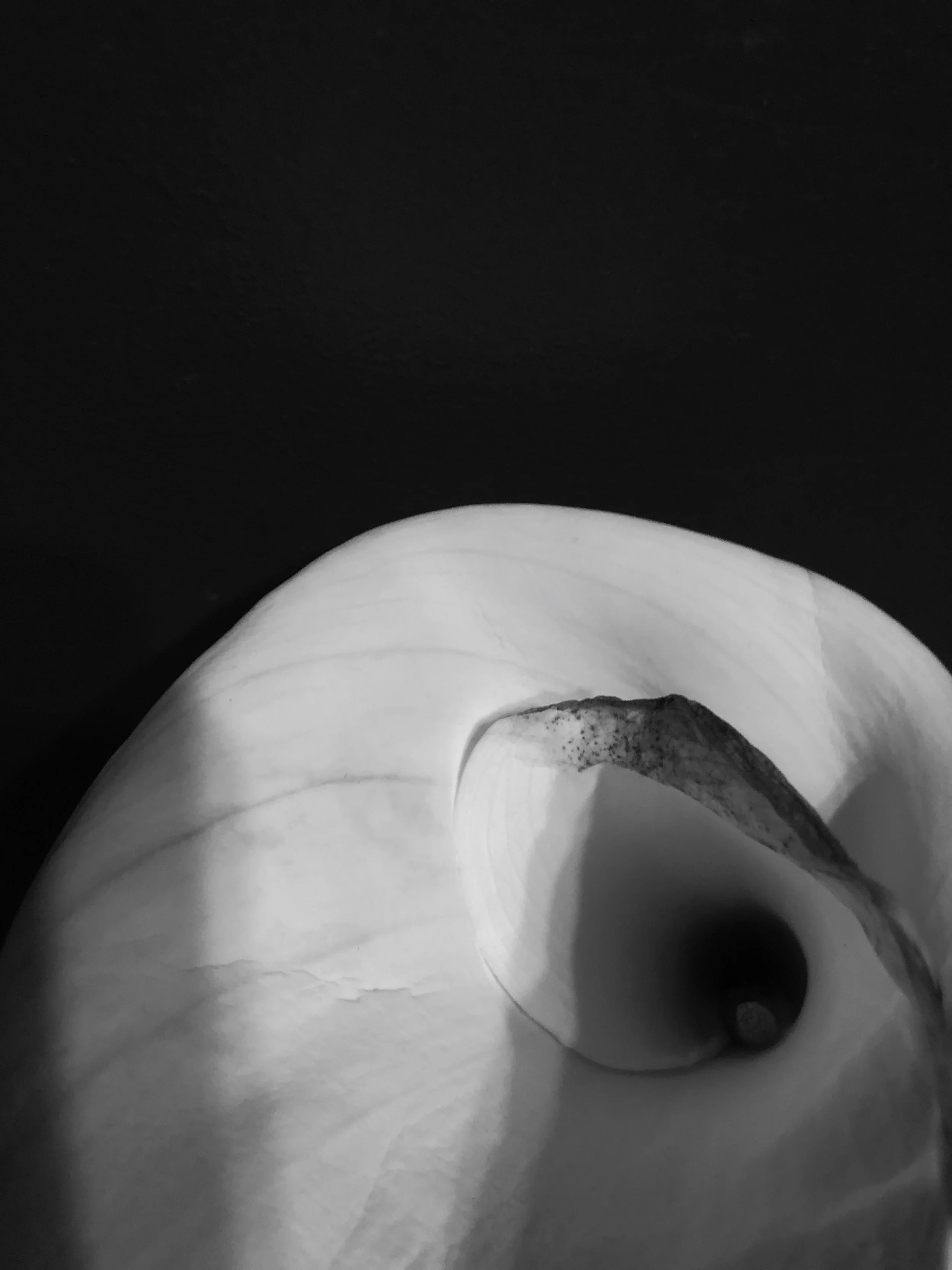IMG_7538.jpeg