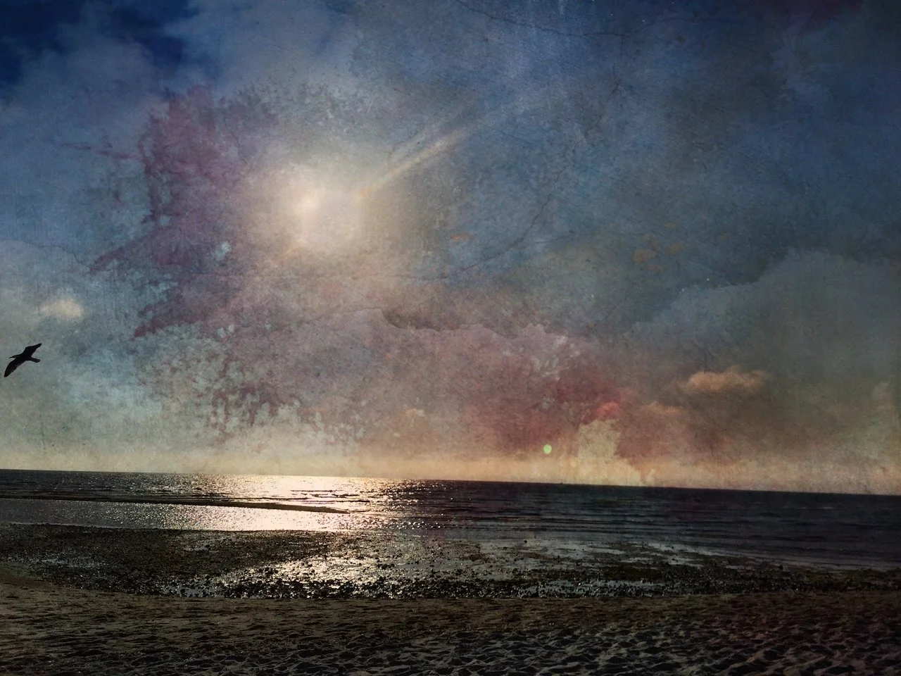 "Night Tide" Sippewissett Salt Marsh, 2025