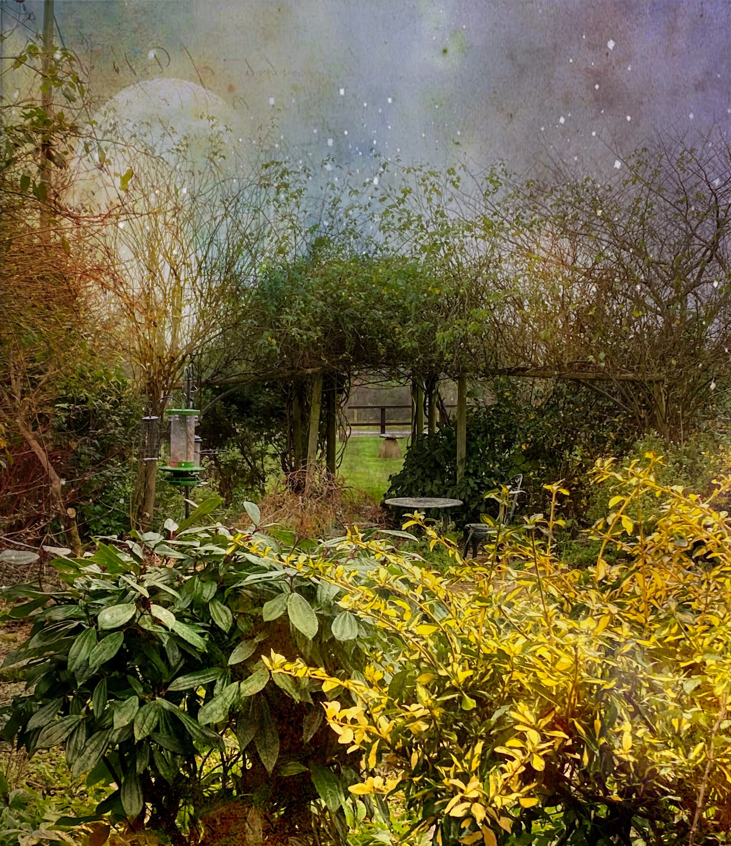 "Between Earth and Elsewhere" Somerset, England 2024