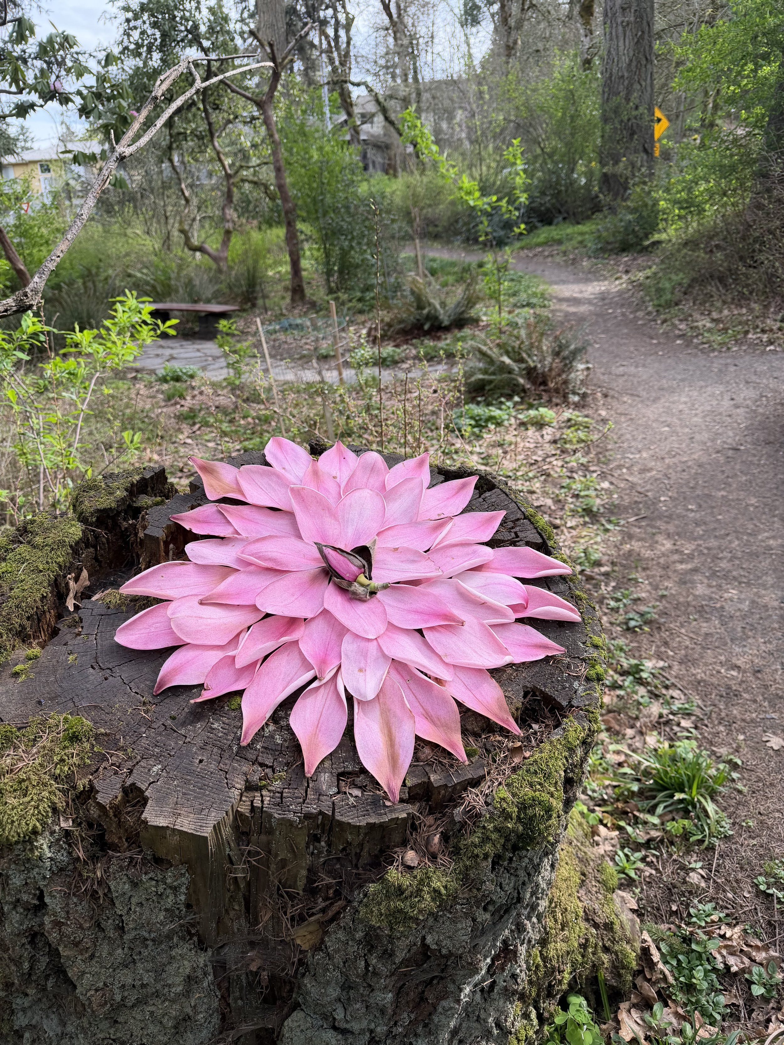 Homage to Spring Equinox.. May we find balance