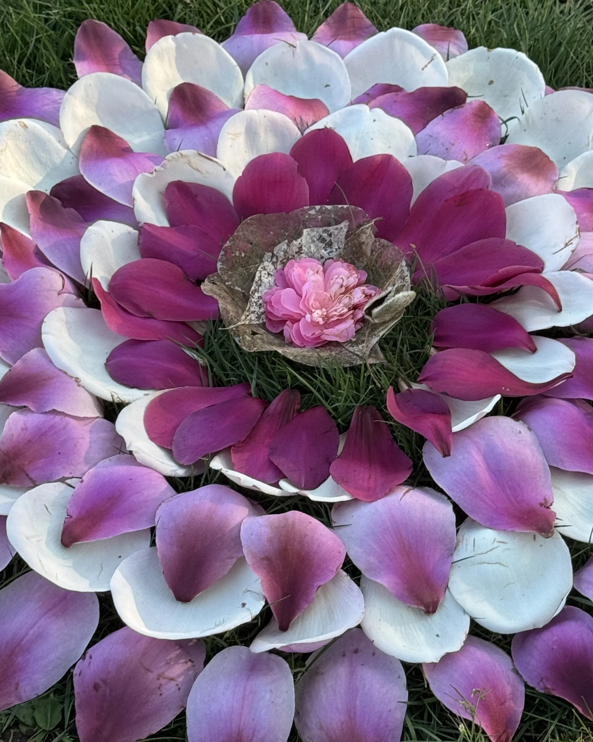 Spring Renewal (photo credit: Melissa Jo Barker)