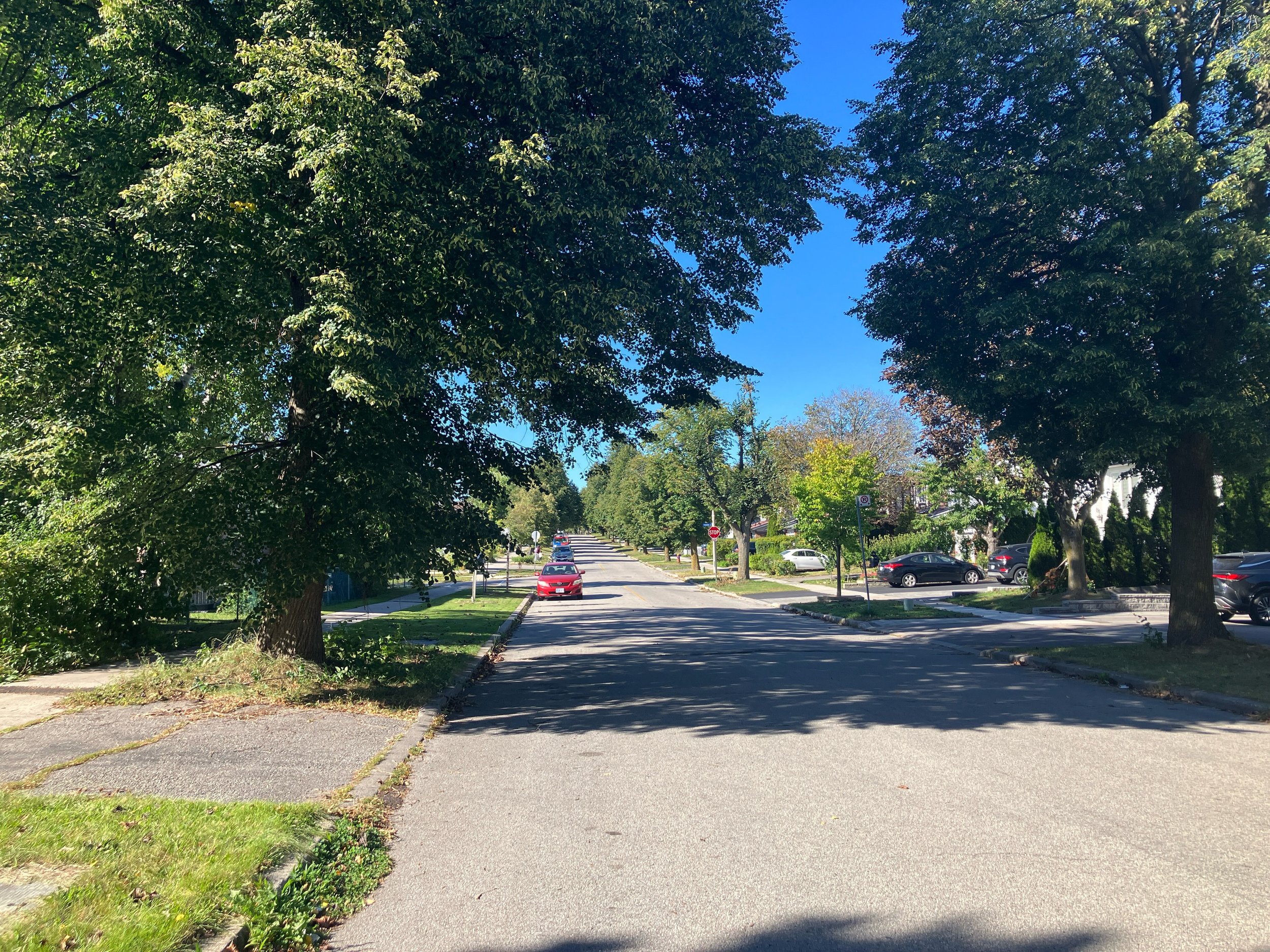 Here is where I do my car seat checks. Across the street from my house in North York, Ontario Canada! 😊

If you need help with your car seat DM me today to set up an appointment.

#cpsweekbingo2026