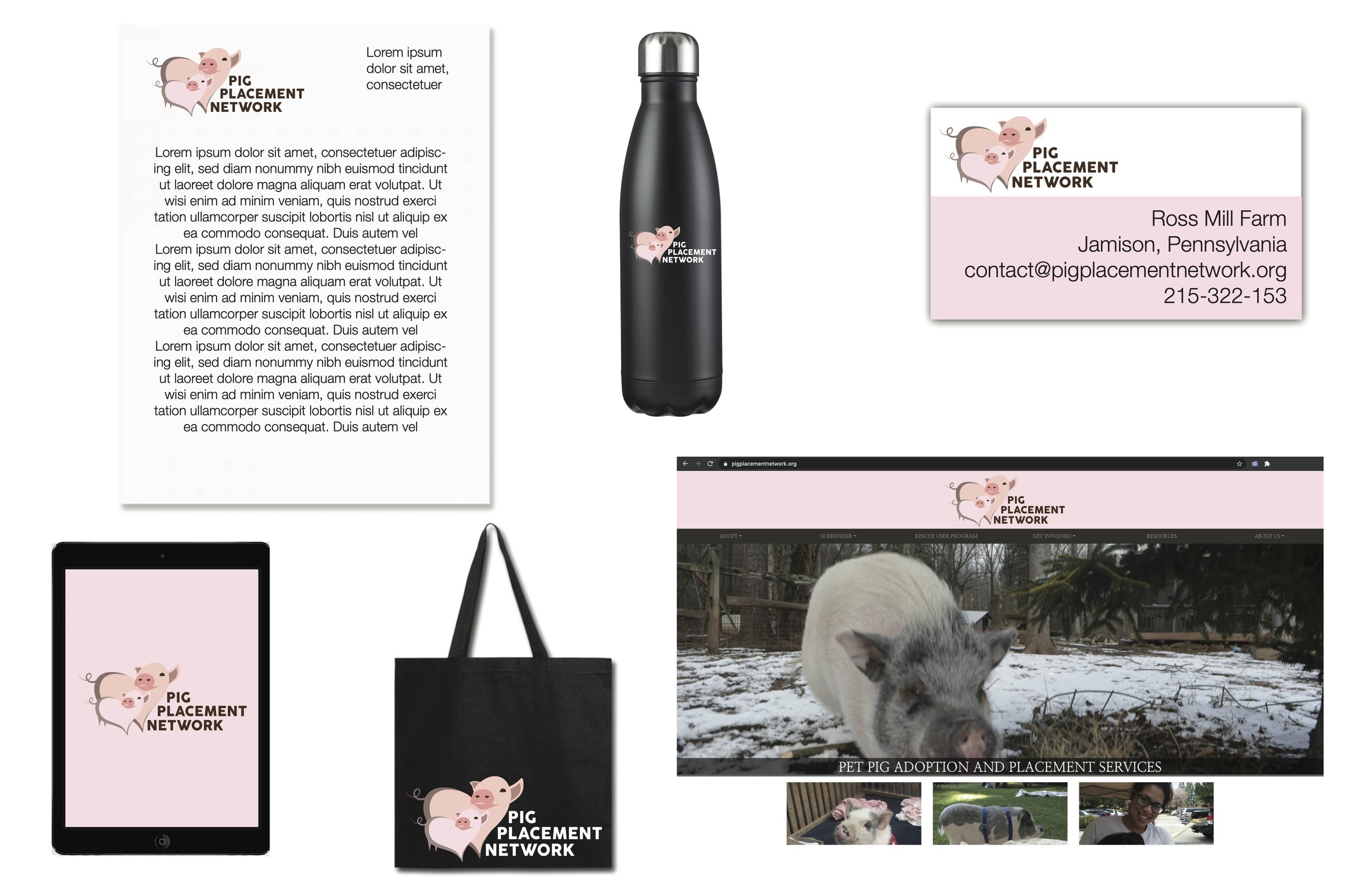 Proposed Logo Rework for the Pig Placement Network: Mockups