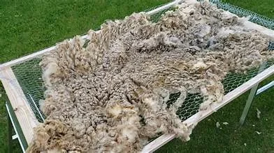 Fleece