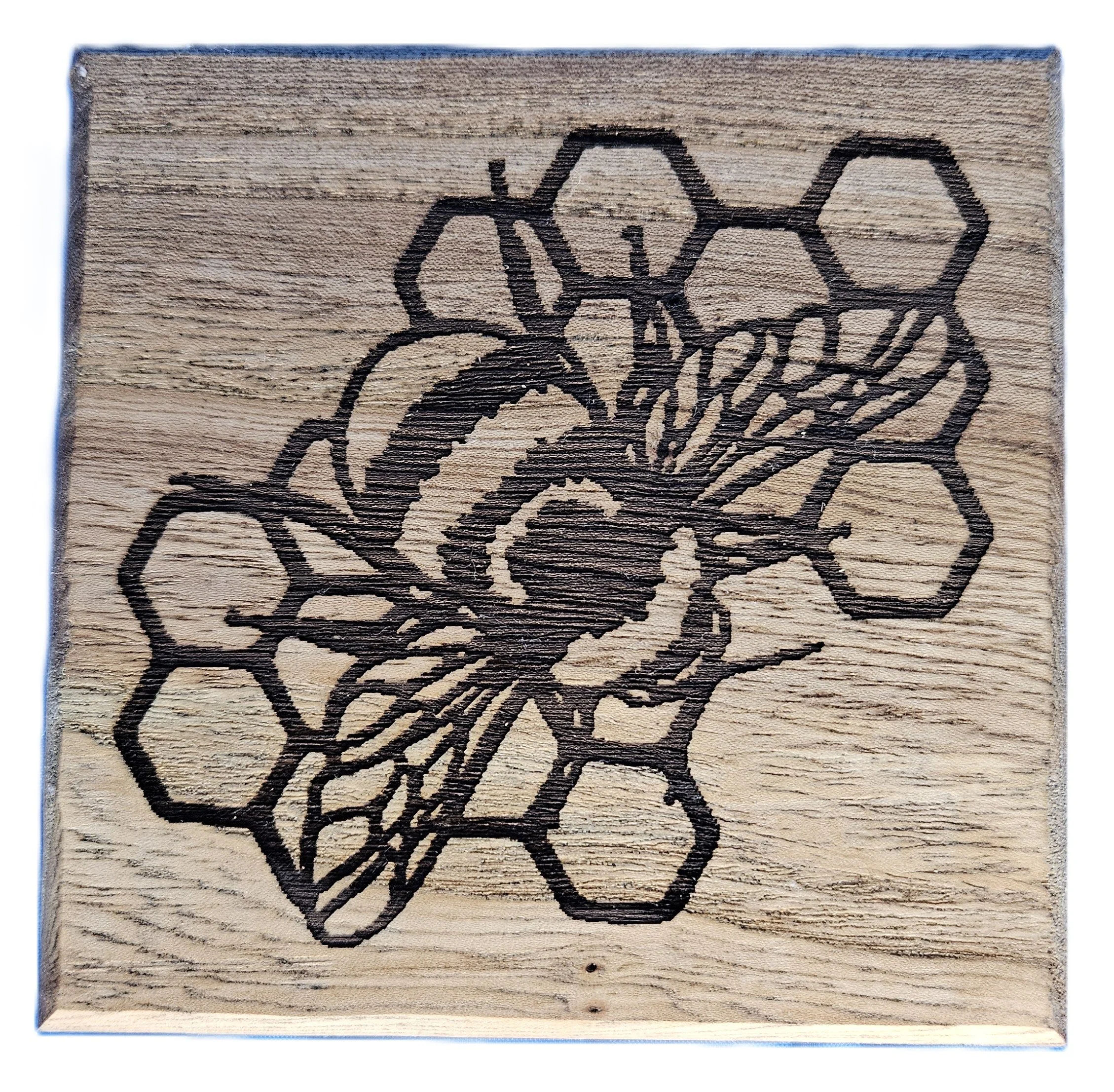 Honey Bee coaster with cork backing