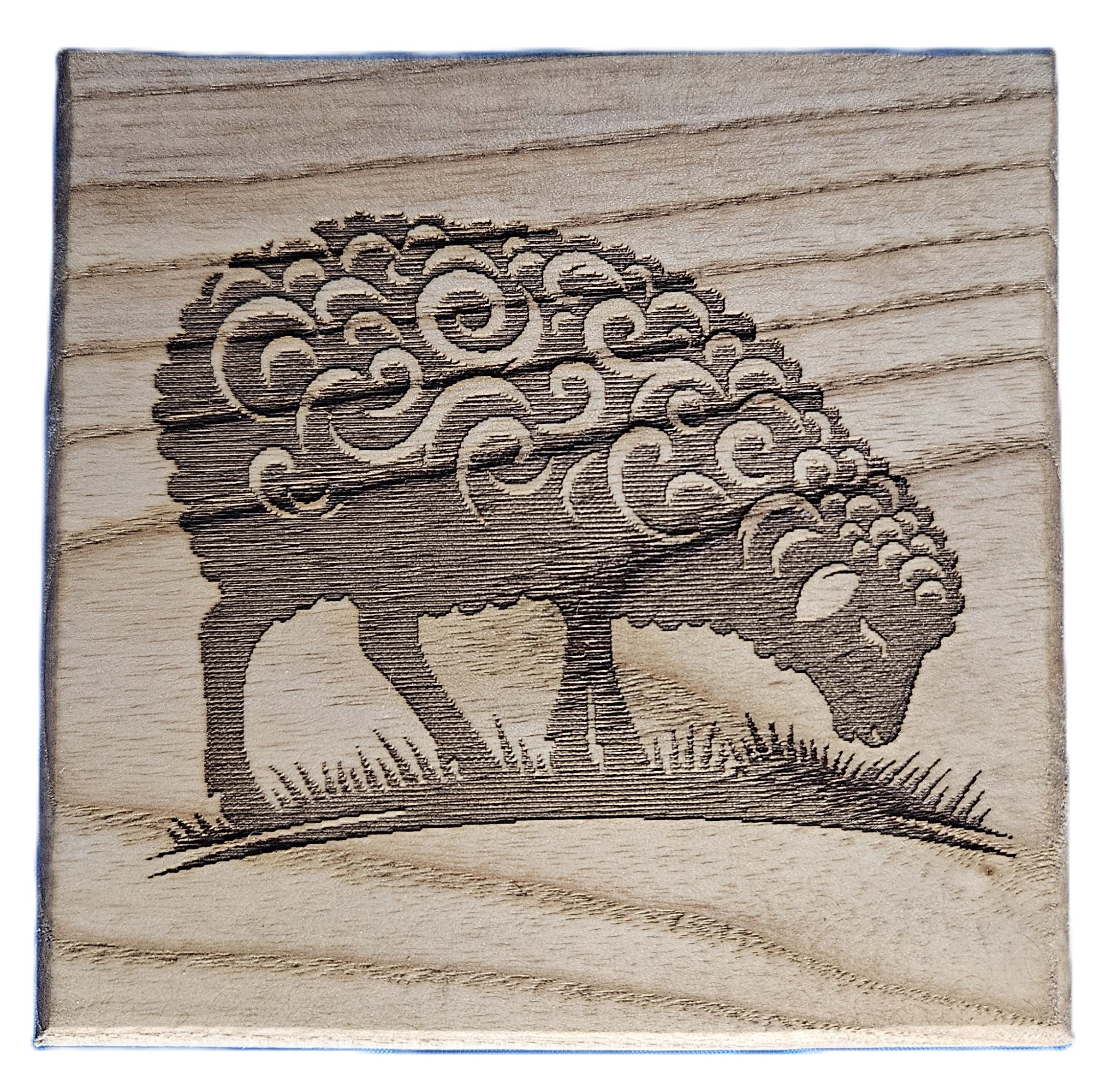 Sheep eating, coaster with cork backing