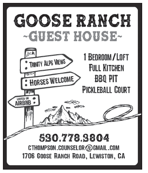 2020 Lewiston Phone Book Ads
re-create phonebook and update various ads originally created in MS Word using Adobe InDesign