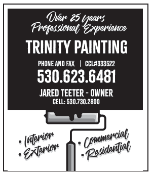 2020 Lewiston Phone Book Ads
re-create phonebook and update various ads originally created in MS Word using Adobe InDesign