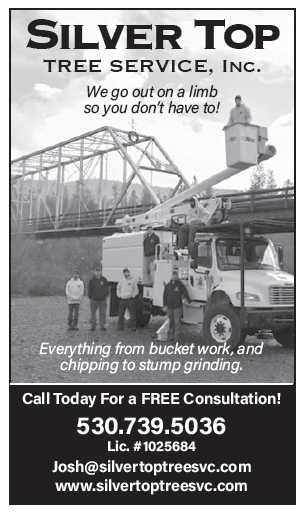 2020 Lewiston Phone Book Ads
re-create phonebook and update various ads originally created in MS Word using Adobe InDesign