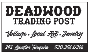 2020 Lewiston Phone Book Ads
re-create phonebook and update various ads originally created in MS Word using Adobe InDesign