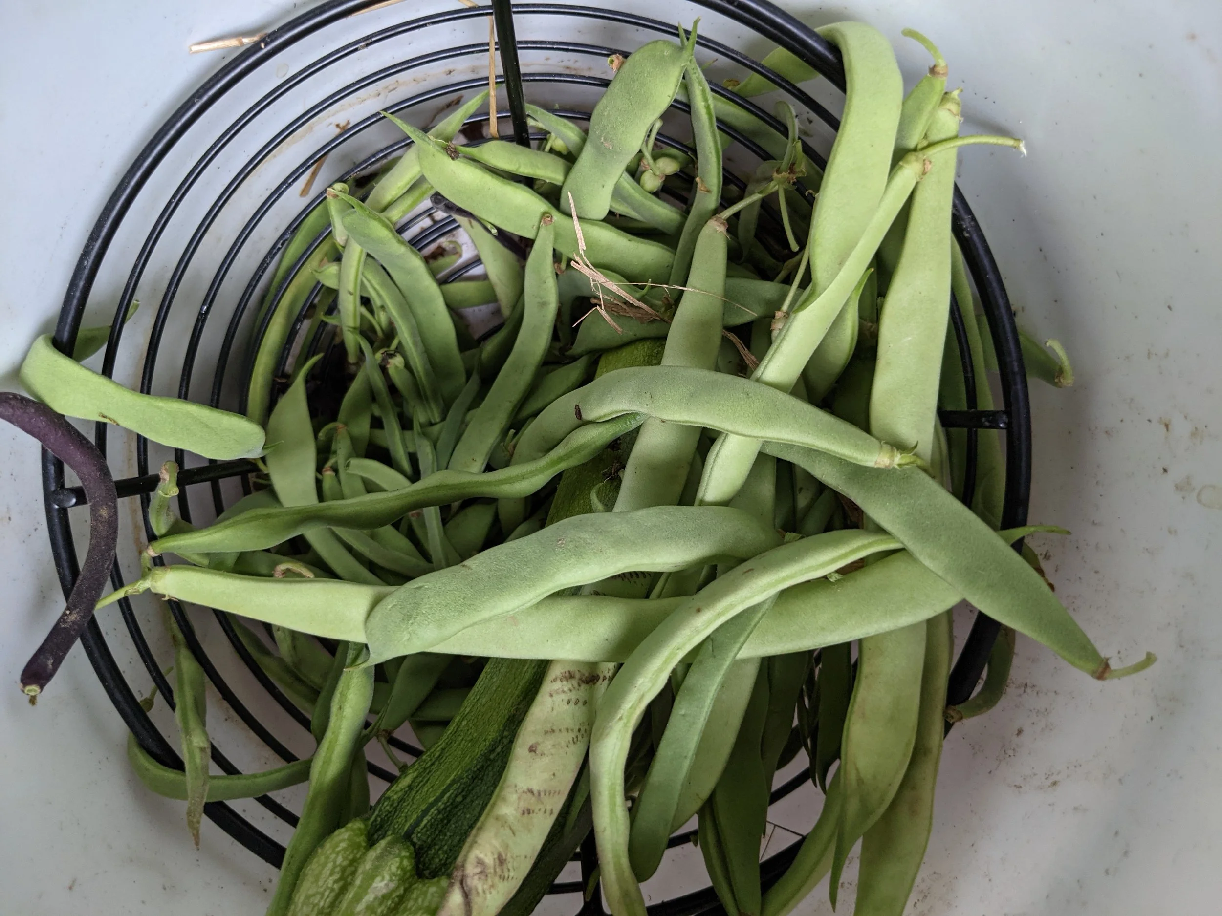 Not Your Grandma’s Green Beans